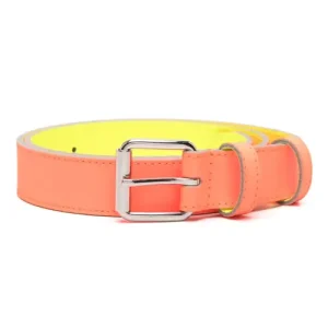 Comme Des Garçons Wallet Super Fluo Leather Belt Full View